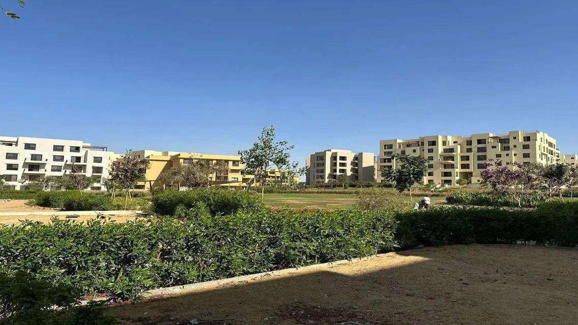 فاملى هاوس متشطب فى اكتوبر