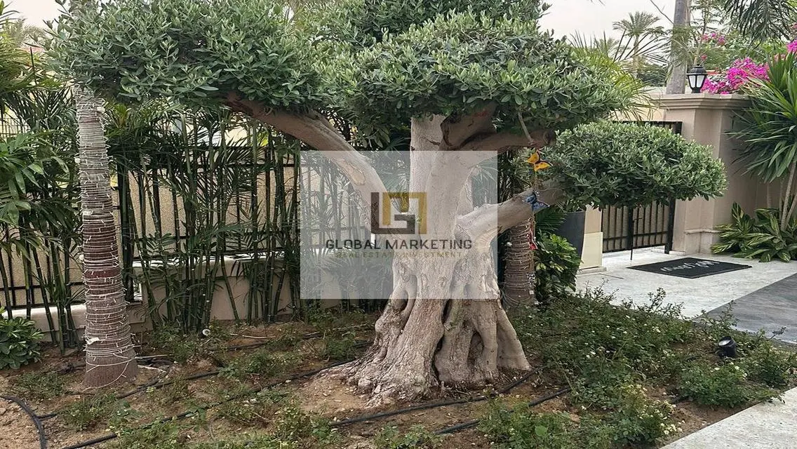 توين هاوس مفروش بالكامل للبيع في أب تاون كايرو .