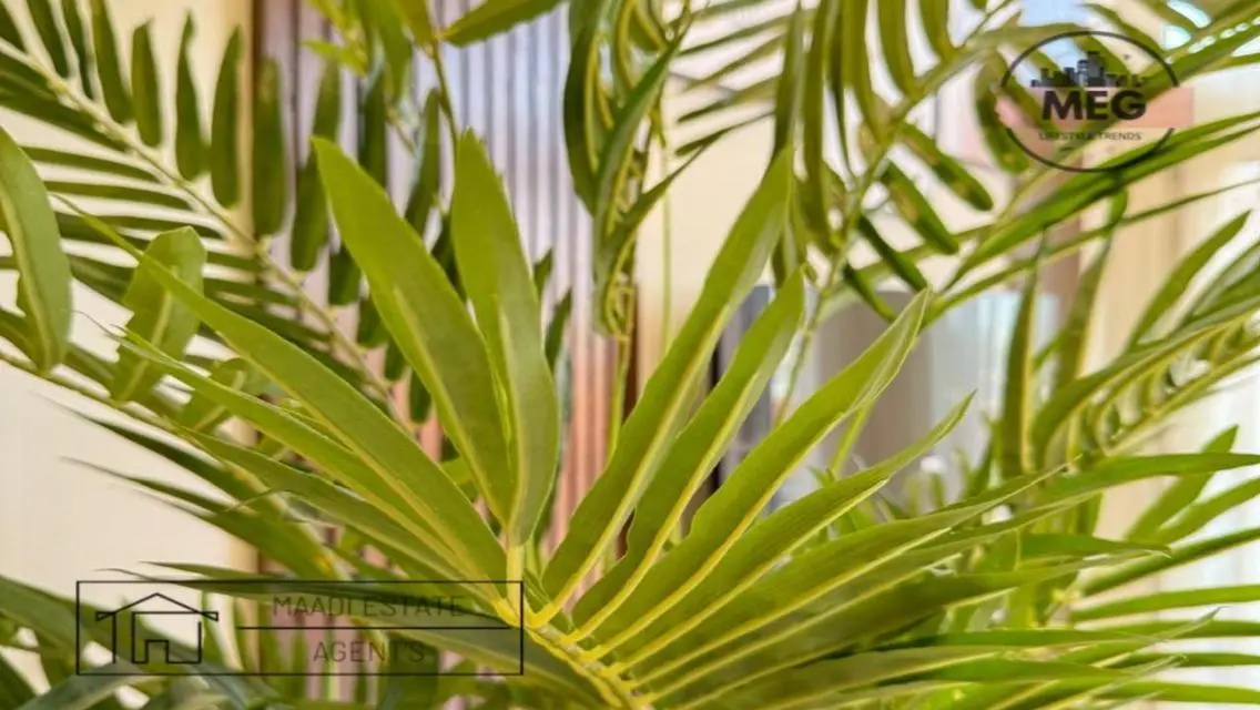 Amazing Penthouse For Rent in Degla Maadi