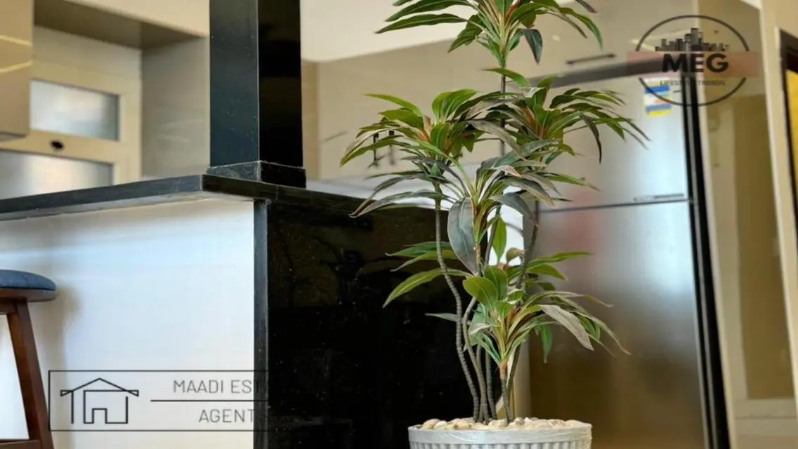Amazing Penthouse For Rent in Degla Maadi