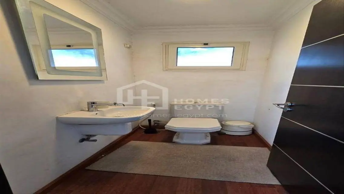 Charming Cozy Apartment for Rent in Zamalek