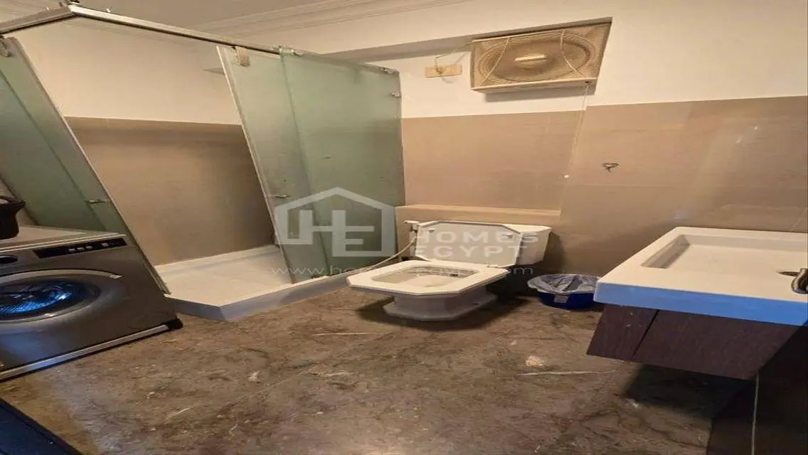 Charming Cozy Apartment for Rent in Zamalek