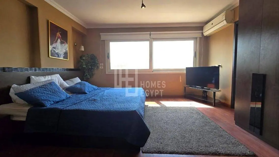Charming Cozy Apartment for Rent in Zamalek