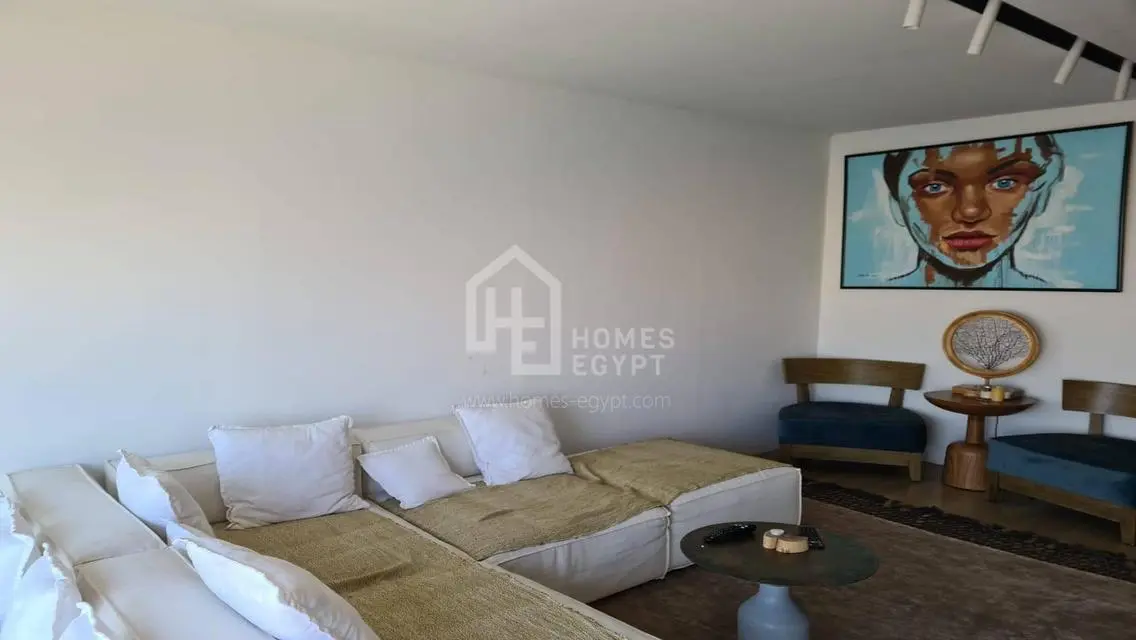 Well Designed Furnished Nile View Apt Rent Zamalek