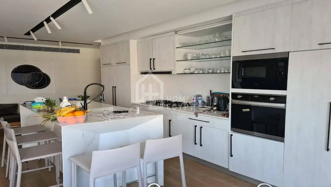 Well Designed Furnished Nile View Apt Rent Zamalek