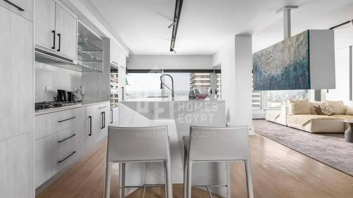 Well Designed Furnished Nile View Apt Rent Zamalek