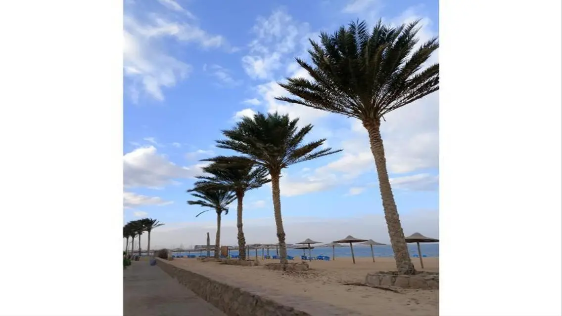 شاليه للبيع في بيلاجيو 95م مقدم 91 الف قسط ع 20ستة
