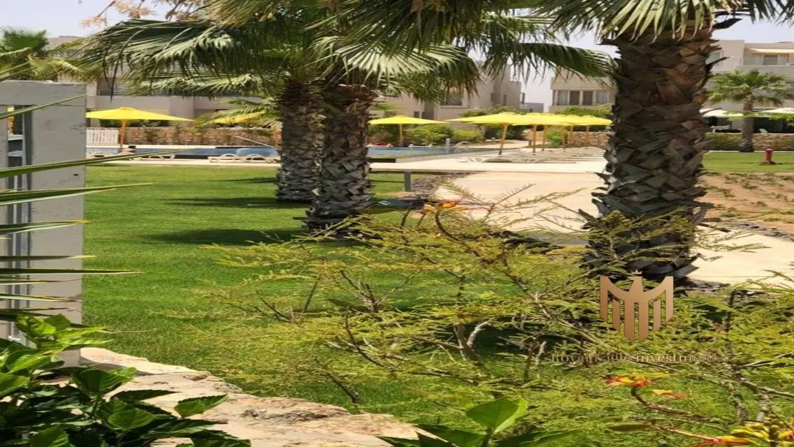 جونيورشاليه في هاسيندا باي علي حمام السباحه مباشره