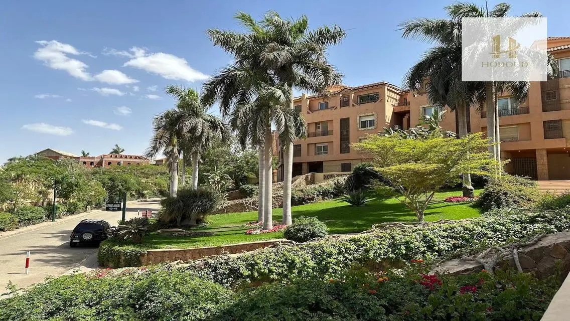 Luxury Apartment in Alchemy 305