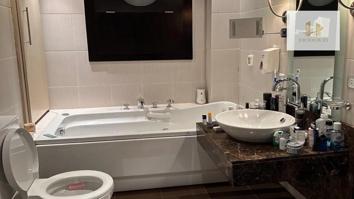 Luxury Apartment in Alchemy 305