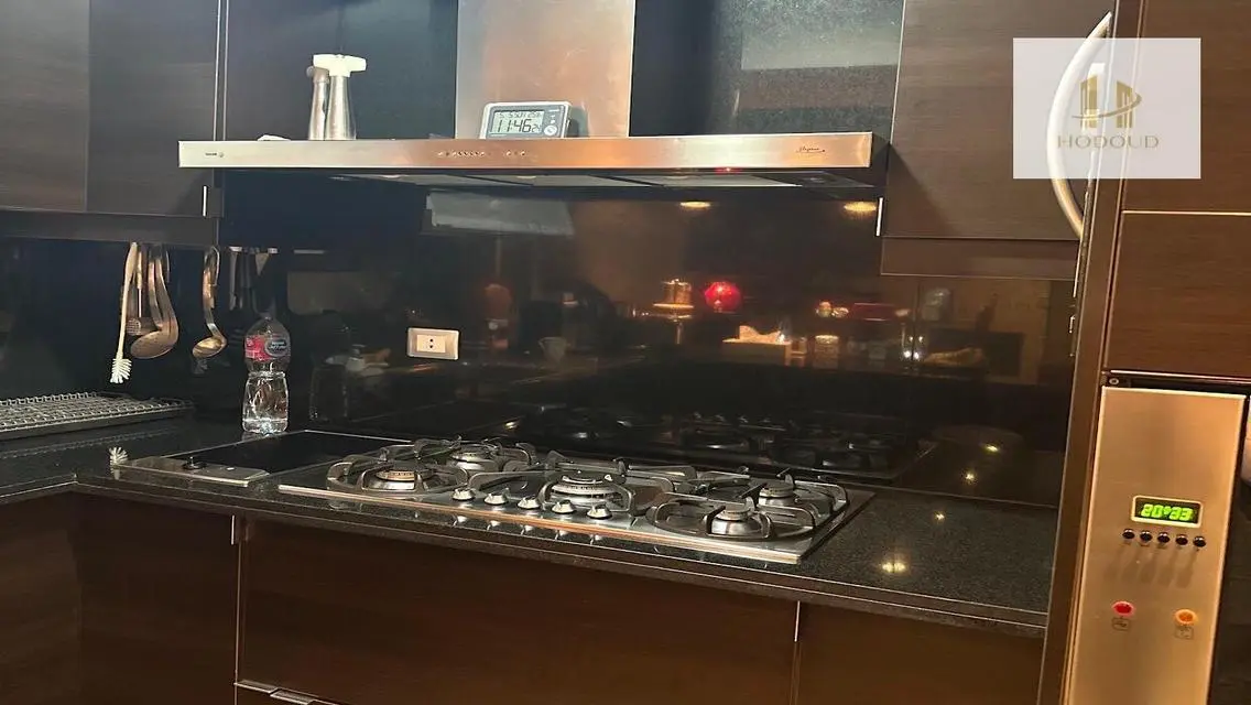 Luxury Apartment in Alchemy 305