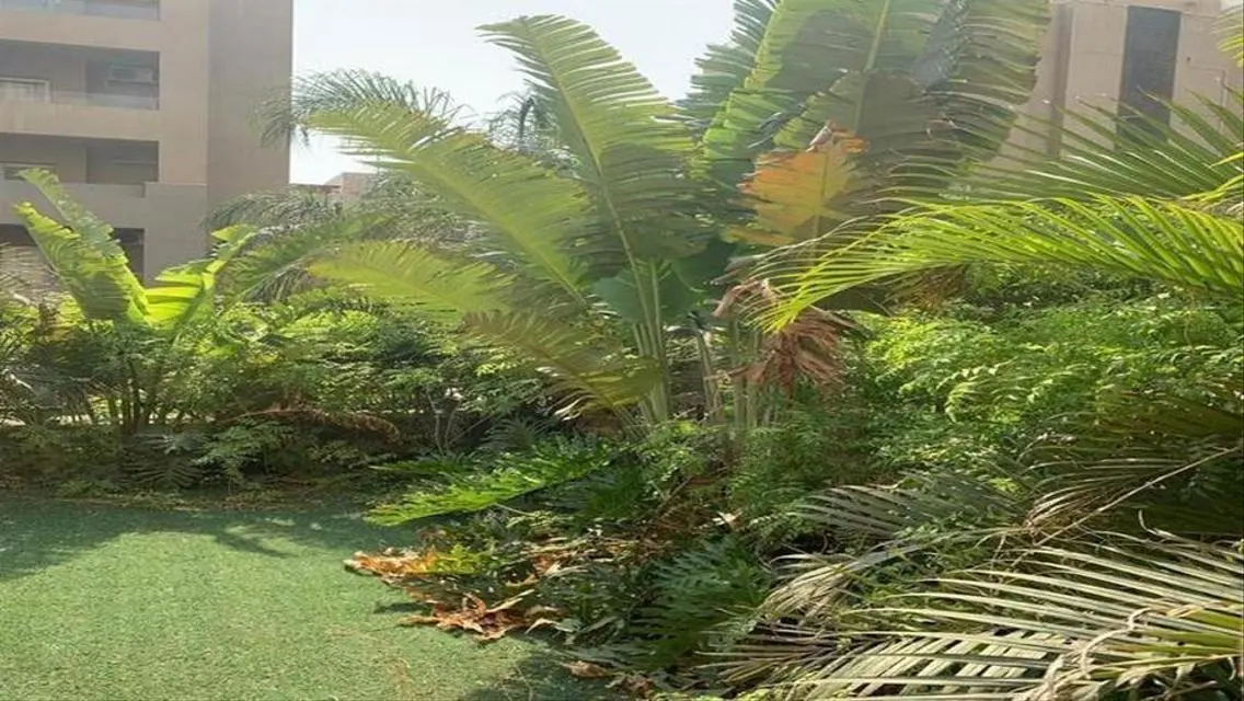 Apartment For Rent Private Garden Special View
