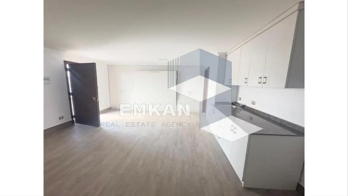 Penthouse for rent 4 rooms Westown  semi-furnished
