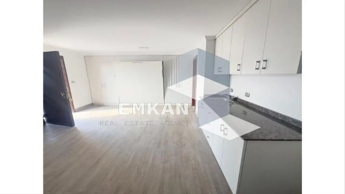 Penthouse for rent 4 rooms Westown  semi-furnished