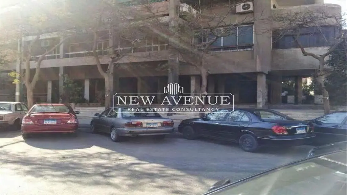 Luxury Apartment with 400 sqm in the Heart of the City