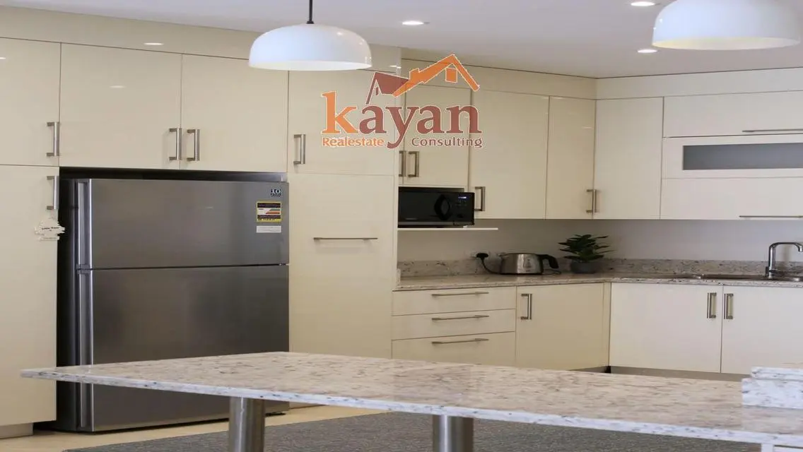 Furnished apartment for rent in Lake View