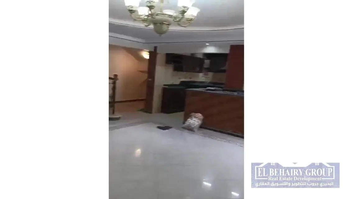 دوبليكس للايجار في التجمع الخامس كمبوند زيزينيا