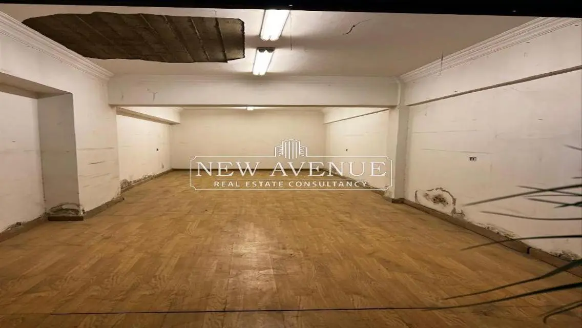 Luxury Commercial Property for Sale at 13 Million EGP