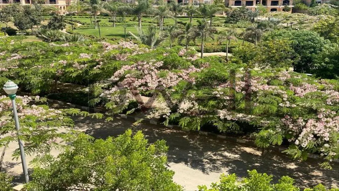 فيلا فاخرة في ساوث بارك - 18,000,000 جنيه