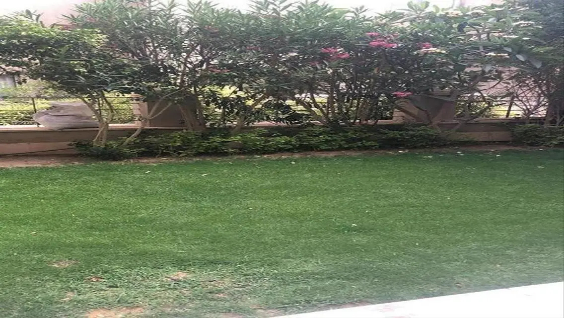 Spacious 1400 Sq. Meter Apartment for Rent