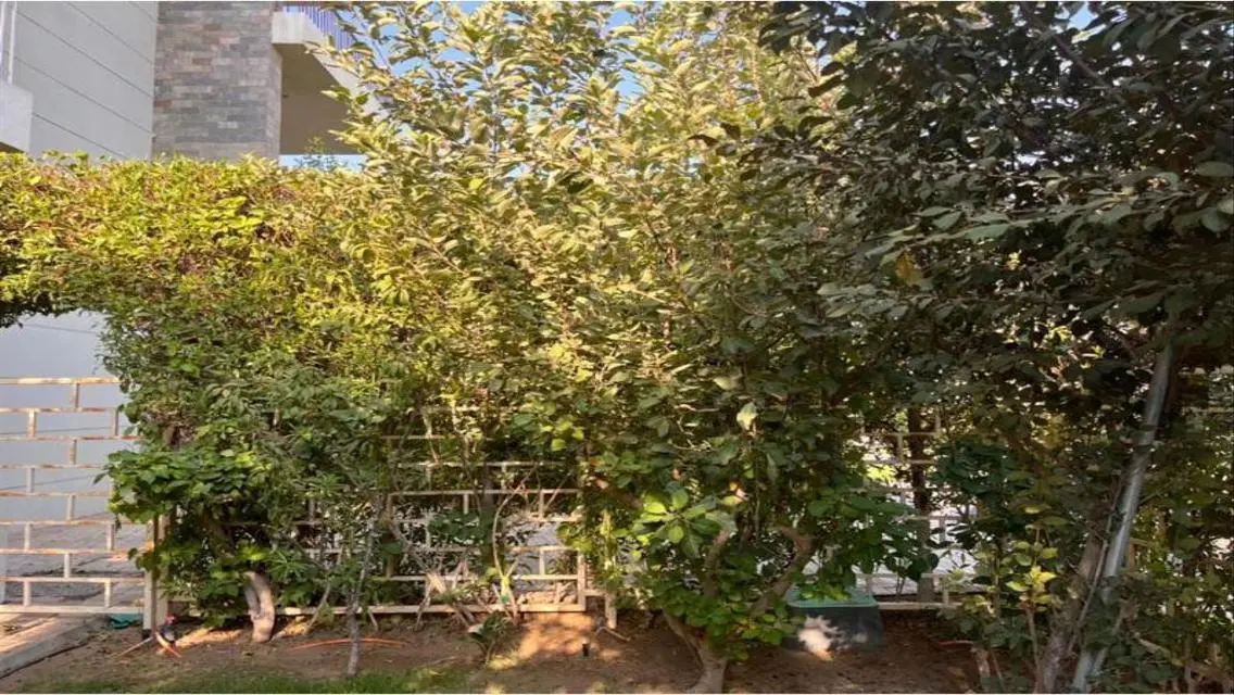 Luxury Apartment 160 sqm at an Attractive Price