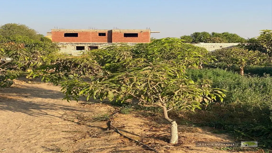 مزرعة 2350 م بالريف النرويجى
