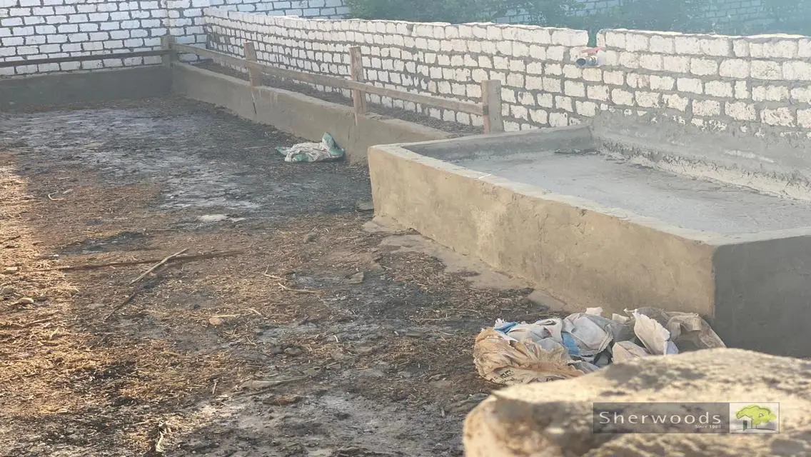مزرعة 2350 م بالريف النرويجى