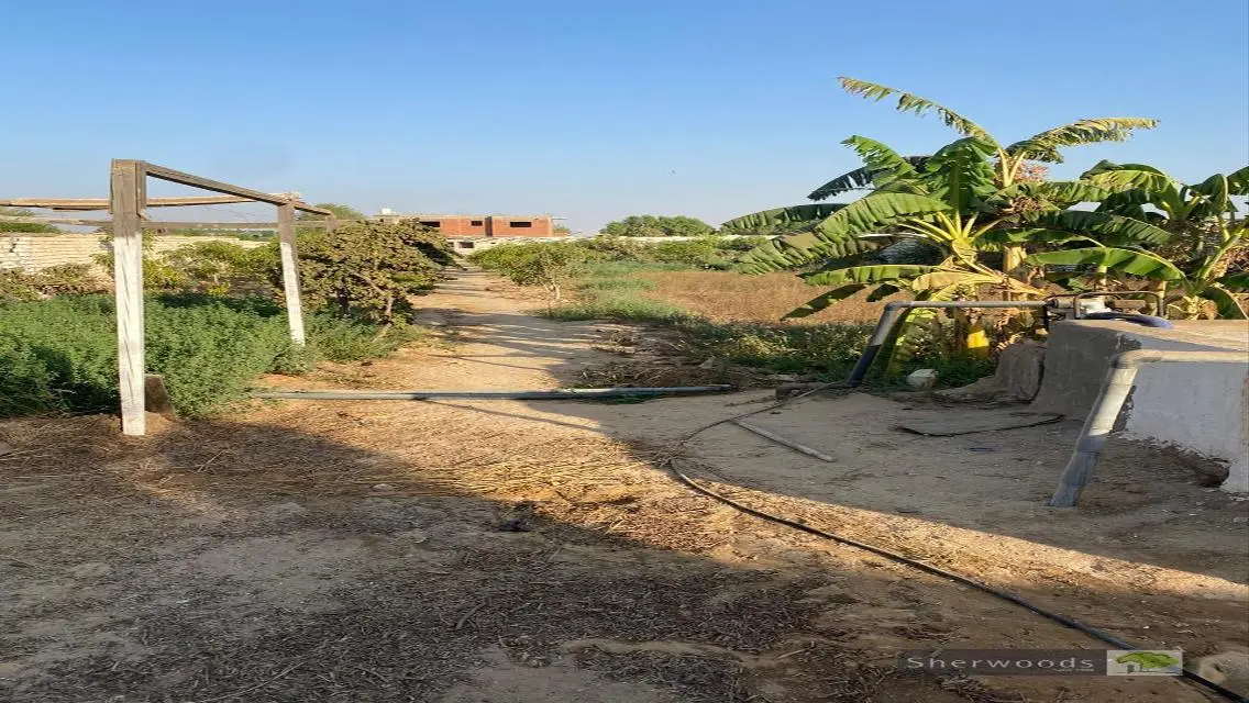 مزرعة 2350 م بالريف النرويجى