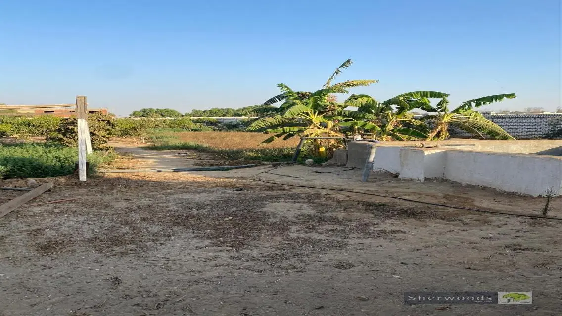 مزرعة 2350 م بالريف النرويجى