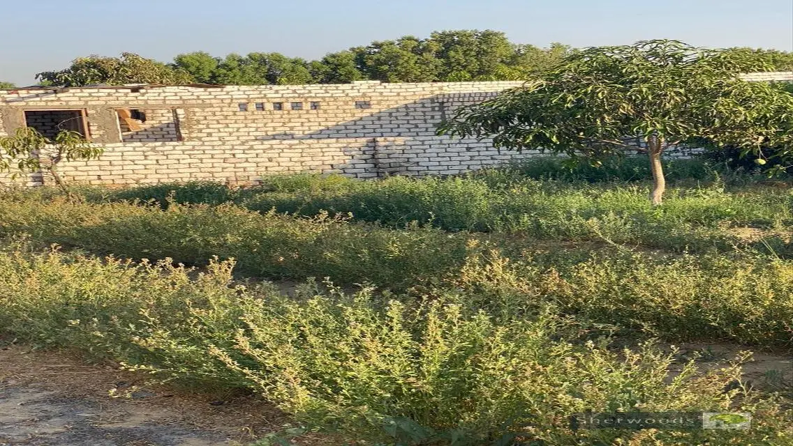 مزرعة 2350 م بالريف النرويجى