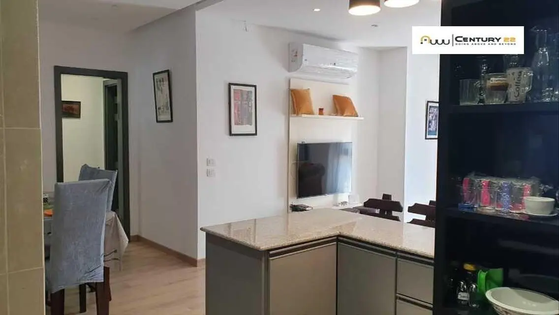 Luxury Apartment in V Residence