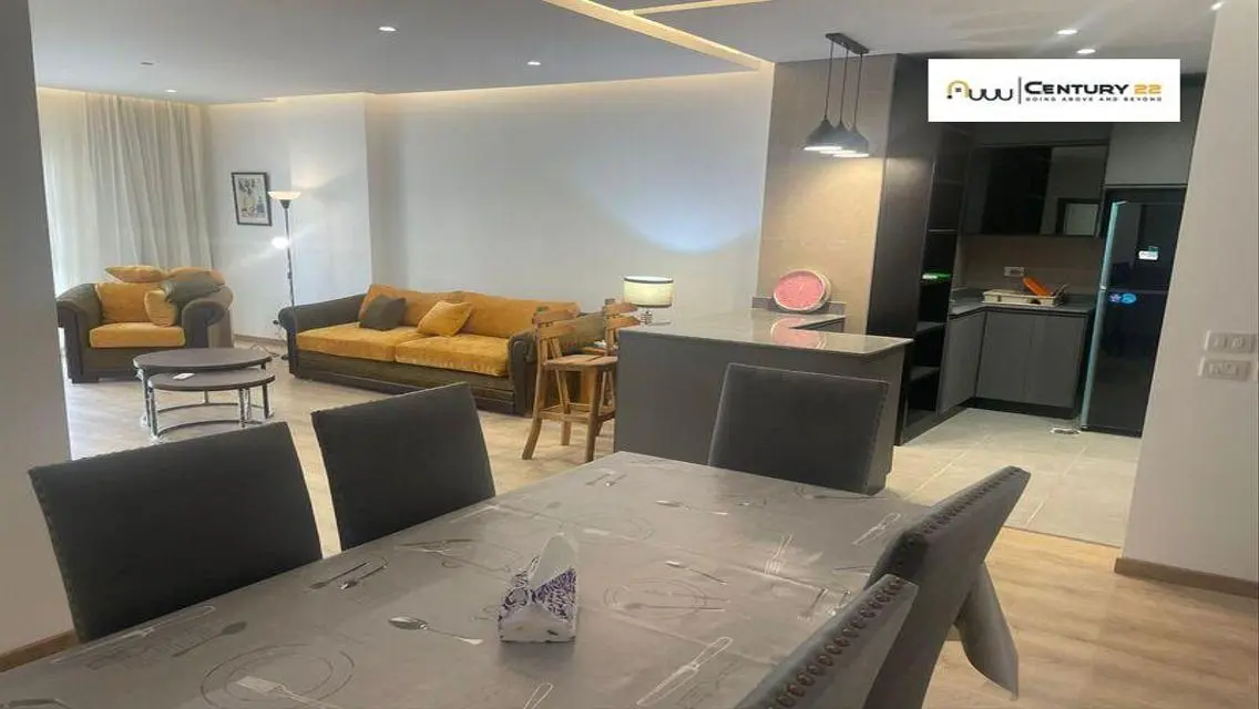 Luxury Apartment in V Residence