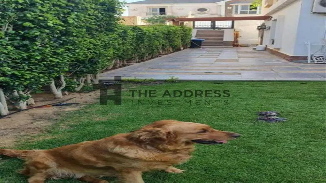 Luxury Apartment for Sale in 360 Area