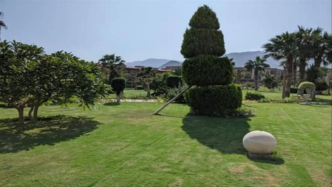 Luxury Apartment in Blumar - The Summit