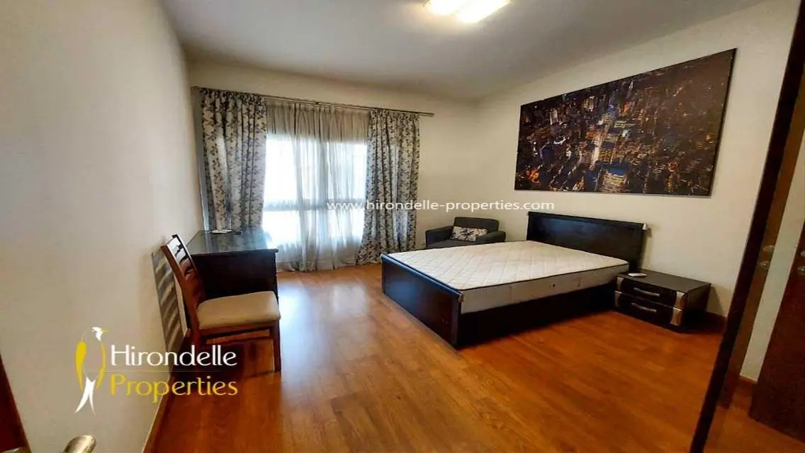 Luxury Apartment Near French and Irish Schools
