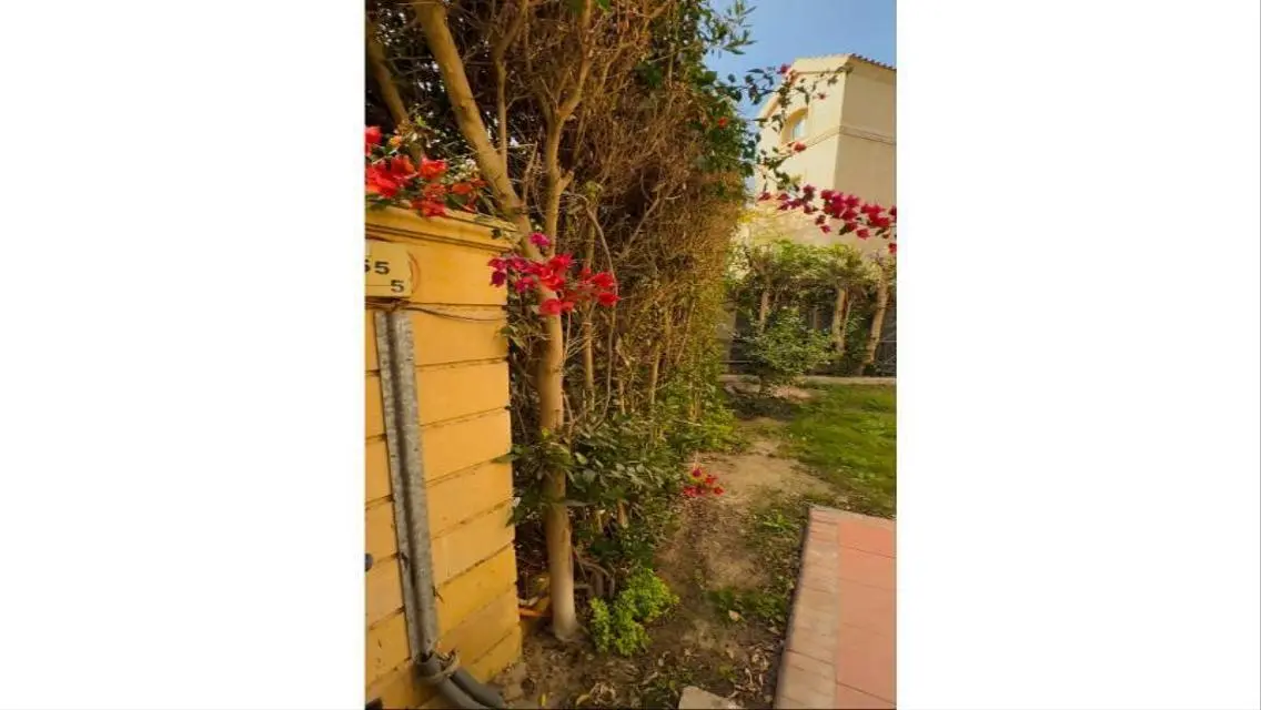 Standalone House with Private Garden and Terrace