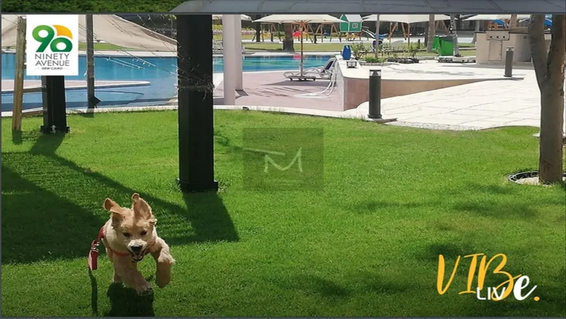 Luxury Villa for Sale in 90th City
