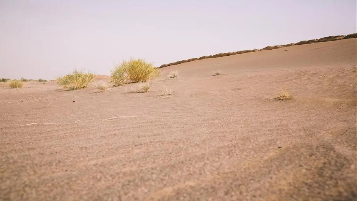 عقار للبيع بمساحة مميزة