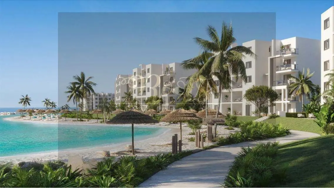Luxury Apartment in D-Bay - North Coast