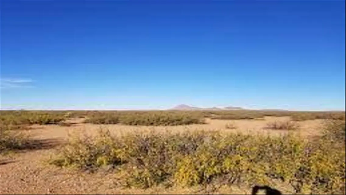 Luxury Properties for Sale with Spacious Area