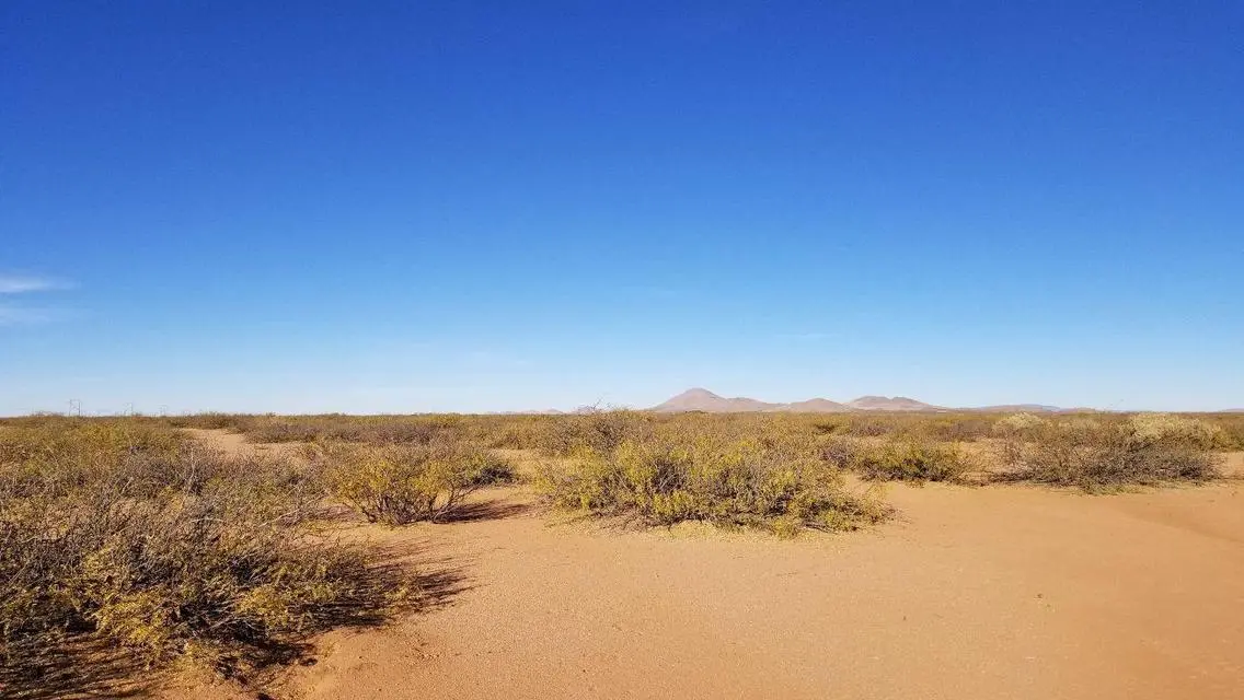 Luxury Properties for Sale with Spacious Area