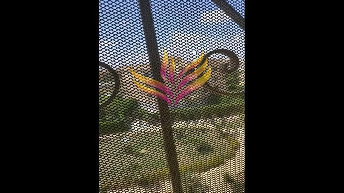 شقة رائعة بحارس أمن