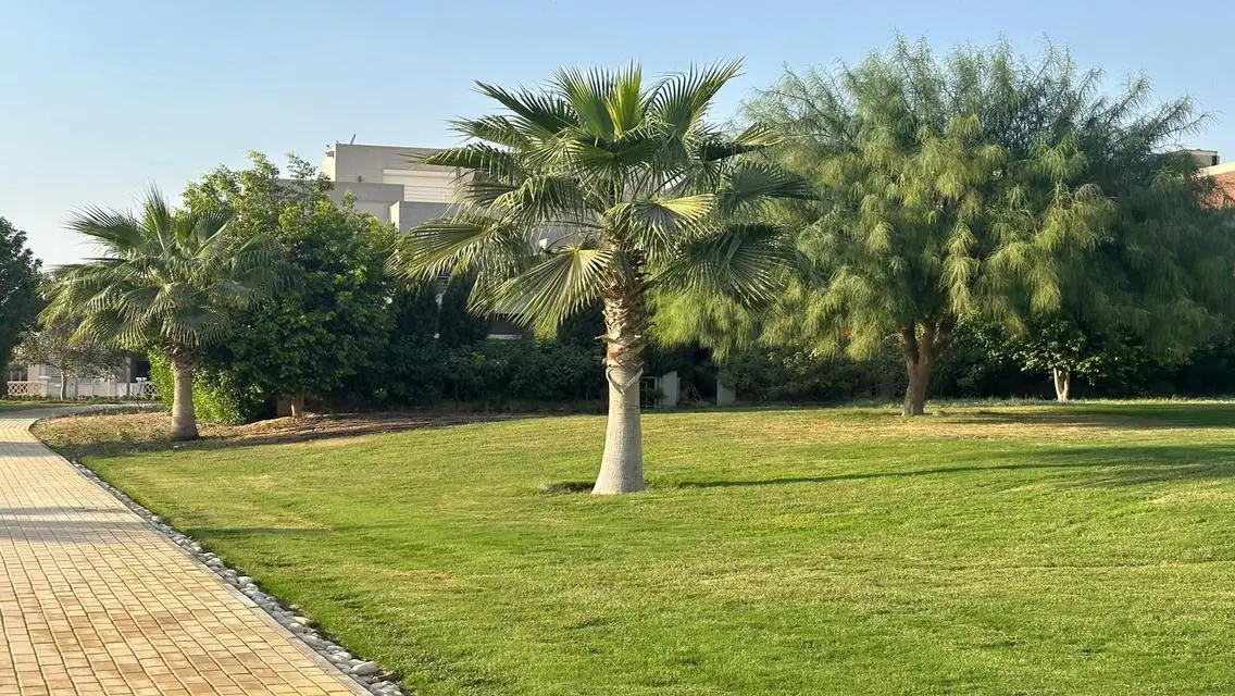 شقة فاخرة للبيع بمساحة 300 متر في قلب المدينة
