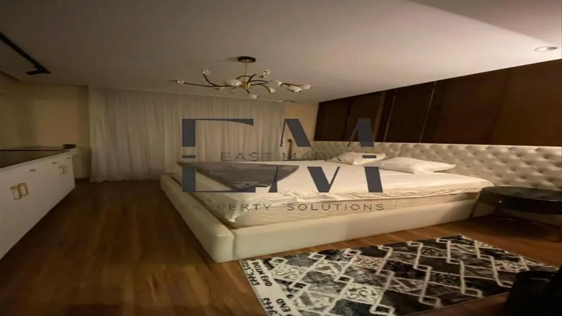 Furnished Apartment for Rent in Modern Area