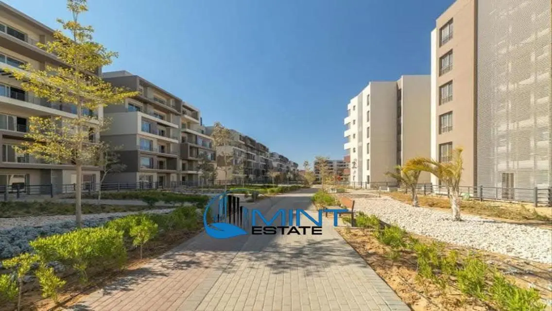 Luxury Apartment with Spacious Design in AUC