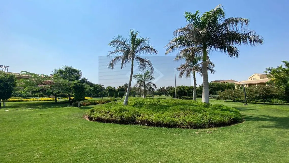 Beautiful Apartment for Rent in Zone 215