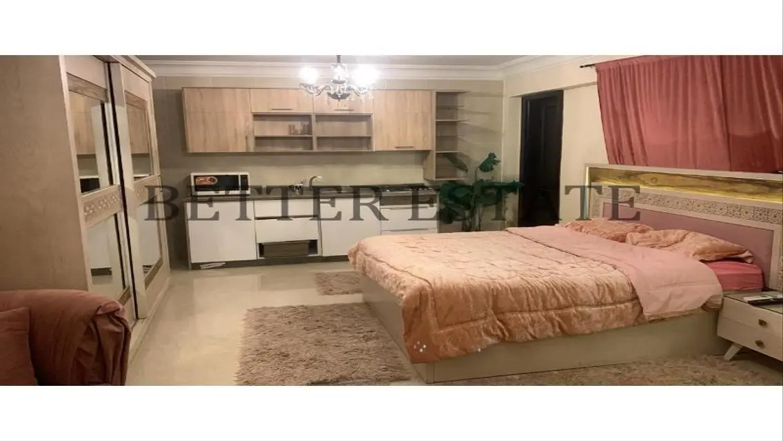 Luxury Apartment with Central Air Conditioning and Balcony