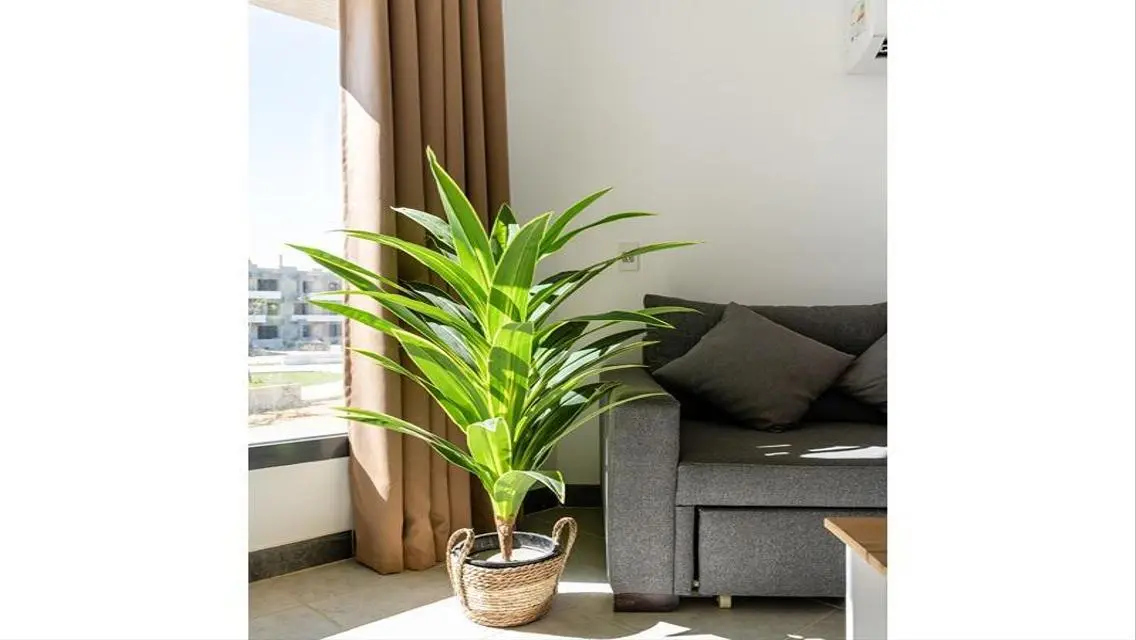 Luxury Apartment with 15m Space, Private Garden and Pool