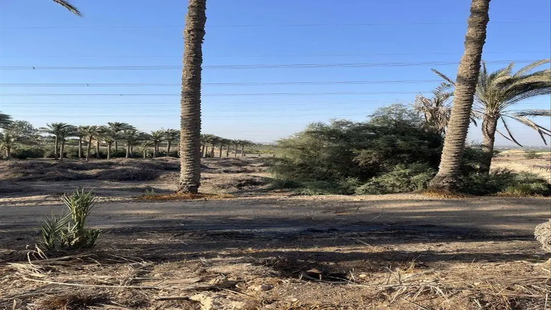 عقار للبيع متميز بمساحة 10000 متر