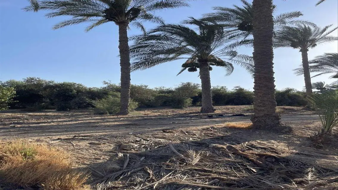 عقار للبيع متميز بمساحة 10000 متر